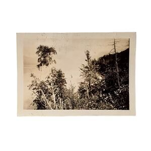 Vtg B&W Photo Found 1940 Spokane Washington Trees Nature Scene Forest Snapshot